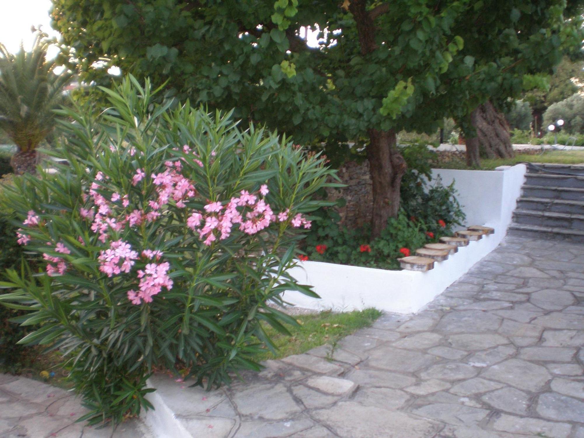 Porto Matina Hotel Metamorfosi  Luaran gambar